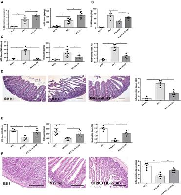 Corrigendum: Blockade of IL-33R/ST2 Signaling Attenuates Toxoplasma gondii Ileitis Depending on IL-22 Expression